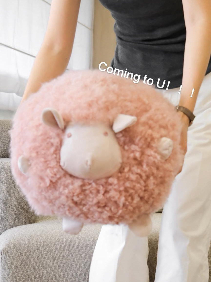 BD065-1 - Limited Edition Pink Sheep Ball! Loewe Shaun the Sheep Pillow: Versatile Wool Pillow