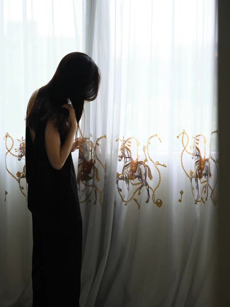 FS008 - Herm@s Dream of Paris / Three-Dimensional Embroidery Soft Light Sheer Curtains Translucent Living Room Bedroom Floor-to-Ceiling Curtains