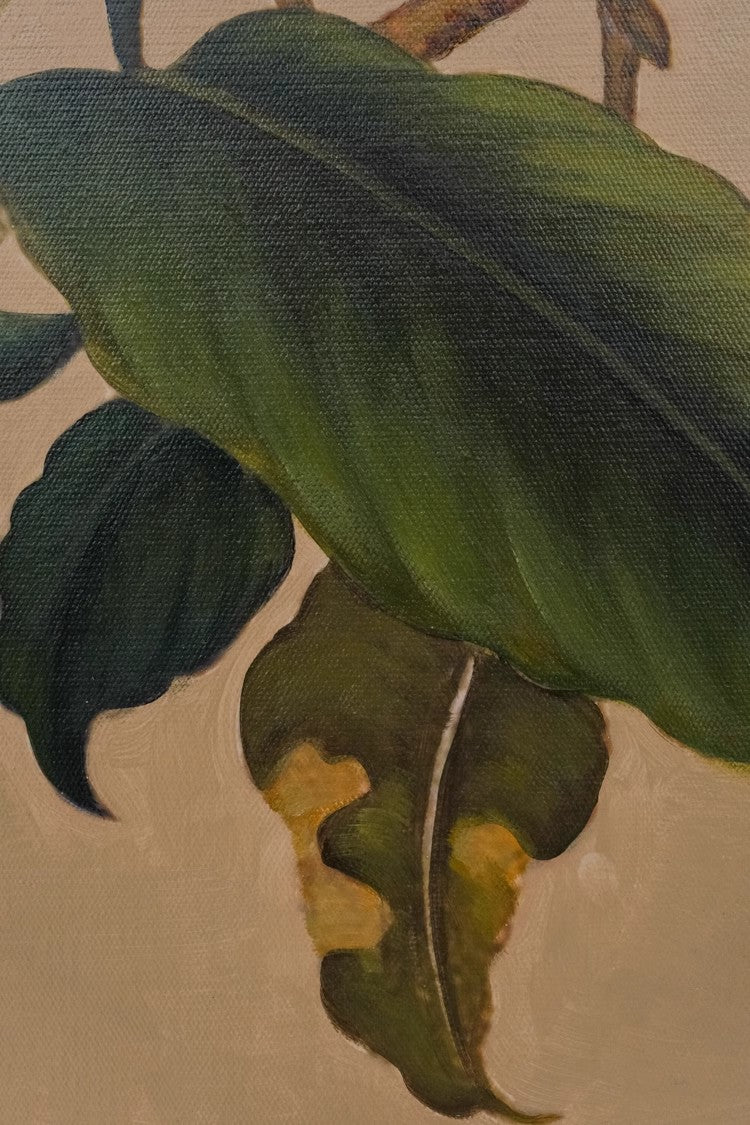 AH128 - "Loquat Mountain Bird" Warm-toned Auspicious Entrance Living Room Dining Room Entry New Chinese Art
